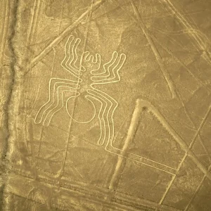 Nazca Lines & Huacachina (Private)