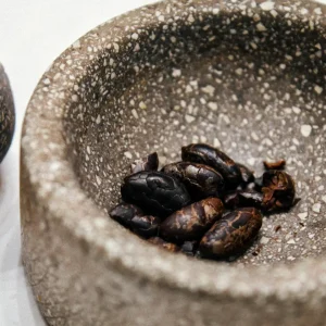 Chocolate Workshop