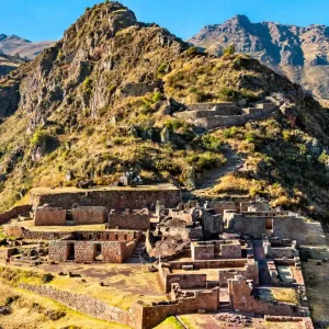 Valle Premium